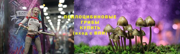 стаф Горно-Алтайск