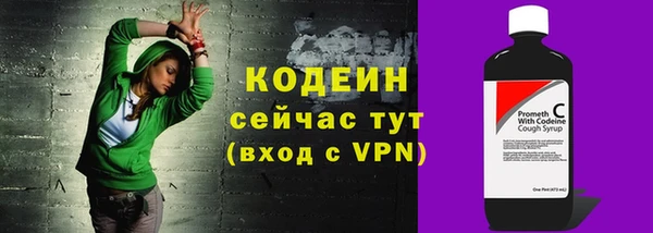 круглые Гусев