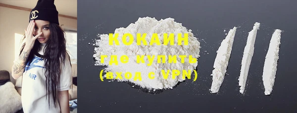 круглые Гусев