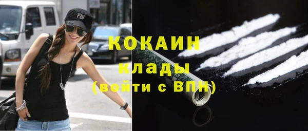 круглые Гусев