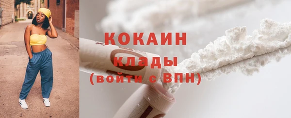 круглые Гусев