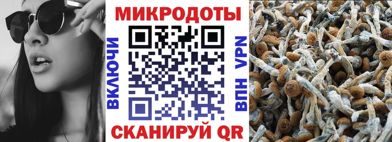 Галлюциногенные грибы Cubensis  даркнет сайт  Североморск 